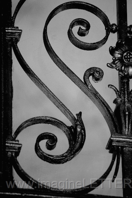 Wall_Art_Alphabet_Photography_Art_ 2019.jpg